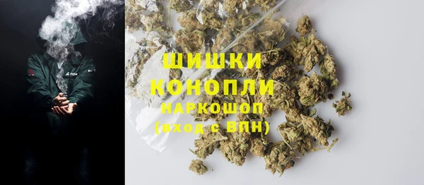 прущие грибы Киреевск