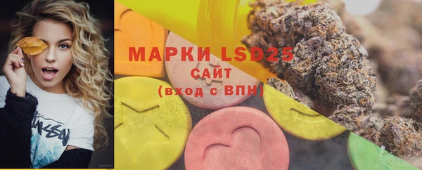 прущие грибы Киреевск