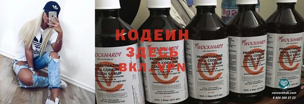 прущие грибы Киреевск